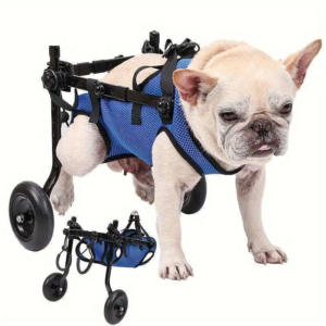 Silla de Ruedas para Perros DogLemi (Talla S/M)